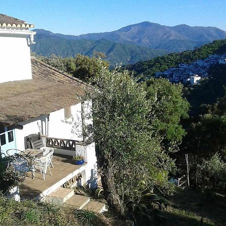 Casa El Chaparral Songbird Mountain Διαμέρισμα Benadalid Εξωτερικό φωτογραφία