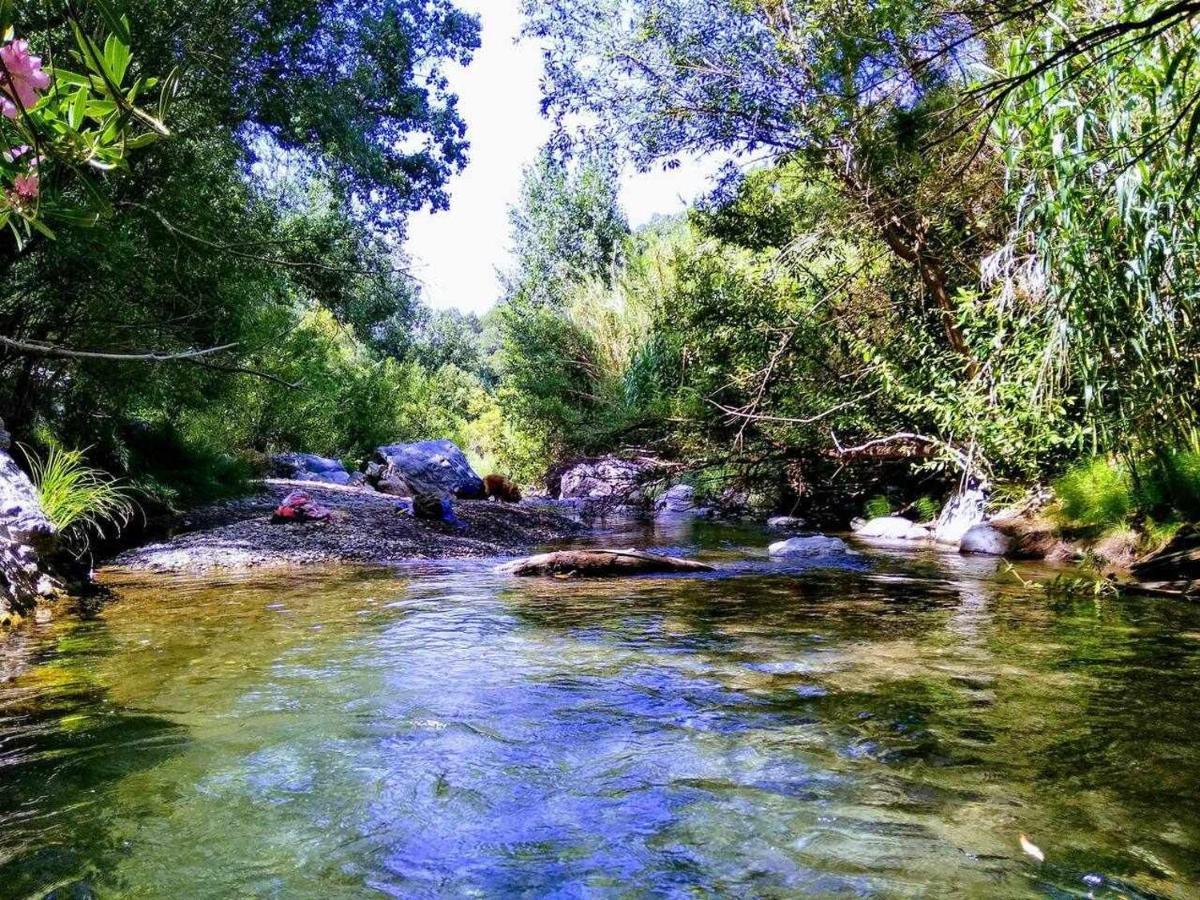 Casa El Chaparral Songbird Mountain Διαμέρισμα Benadalid Εξωτερικό φωτογραφία