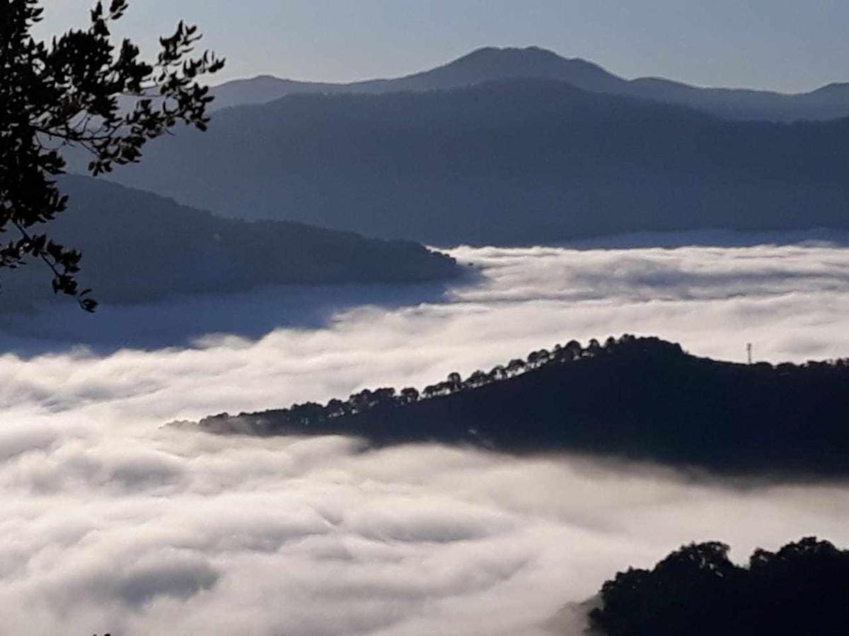 Casa El Chaparral Songbird Mountain Διαμέρισμα Benadalid Εξωτερικό φωτογραφία