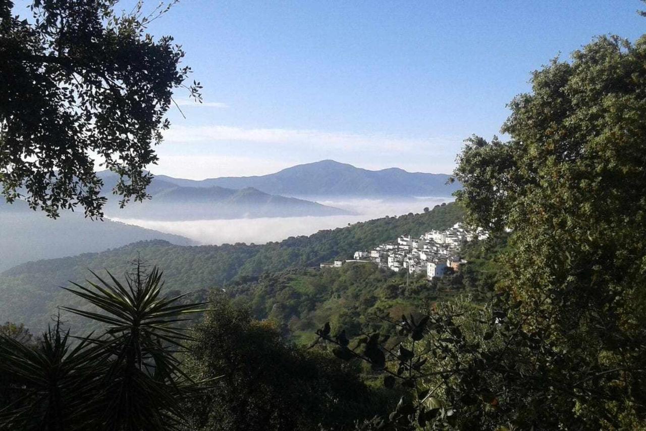 Casa El Chaparral Songbird Mountain Διαμέρισμα Benadalid Εξωτερικό φωτογραφία