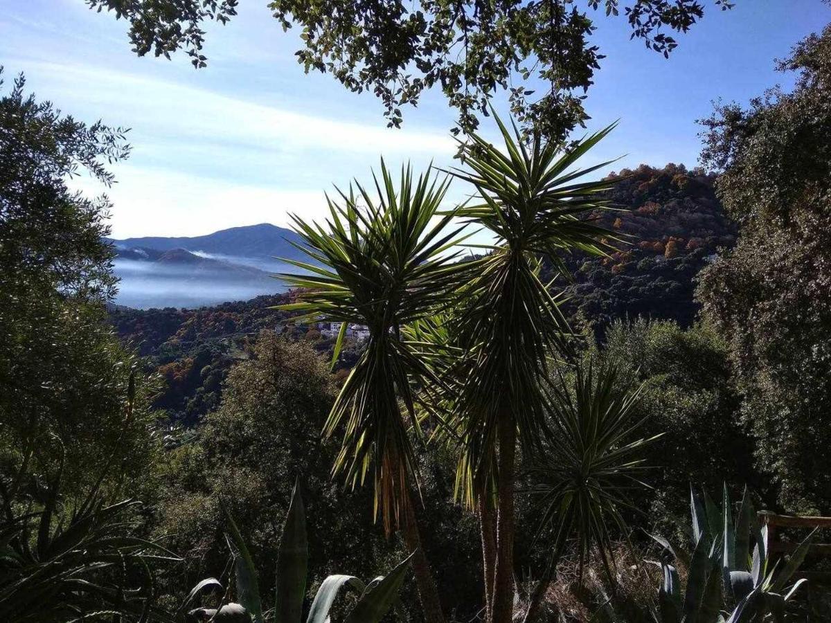 Casa El Chaparral Songbird Mountain Διαμέρισμα Benadalid Εξωτερικό φωτογραφία