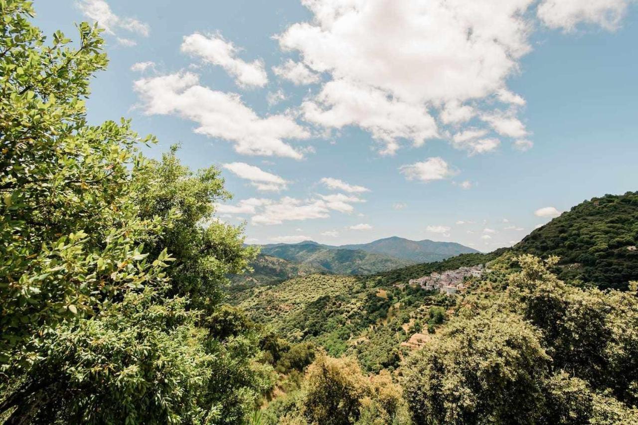 Casa El Chaparral Songbird Mountain Διαμέρισμα Benadalid Εξωτερικό φωτογραφία