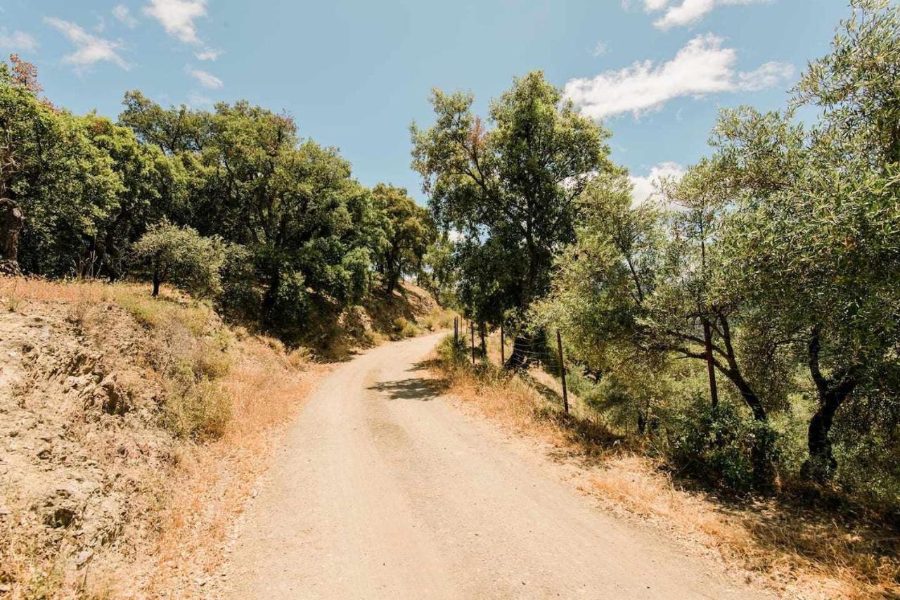 Casa El Chaparral Songbird Mountain Διαμέρισμα Benadalid Εξωτερικό φωτογραφία