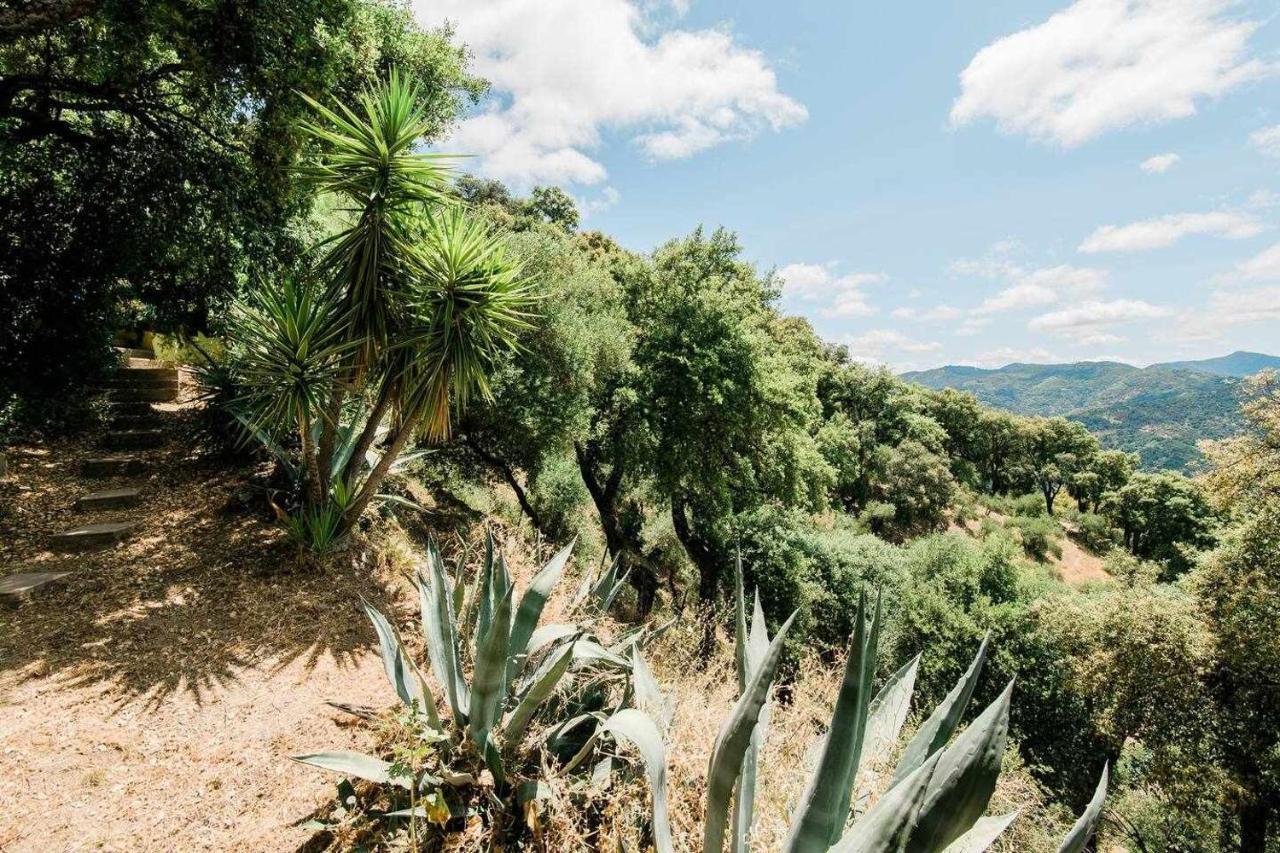 Casa El Chaparral Songbird Mountain Διαμέρισμα Benadalid Εξωτερικό φωτογραφία